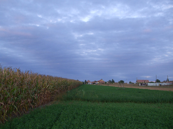 DSCF8961