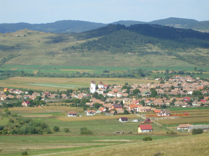 DSCF8916