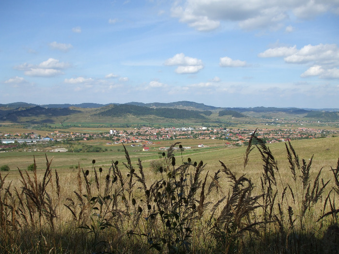 DSCF8918