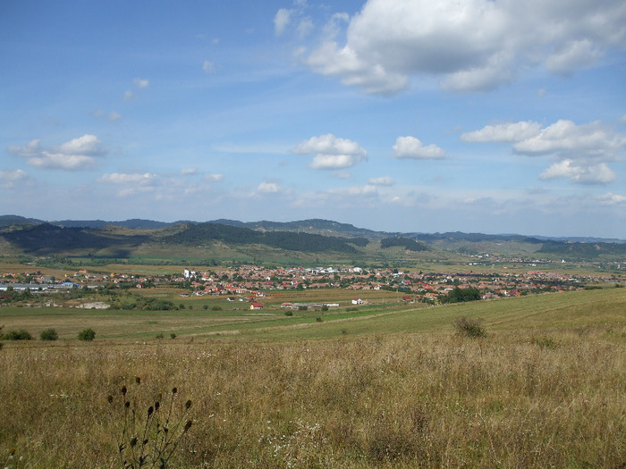 DSCF8919