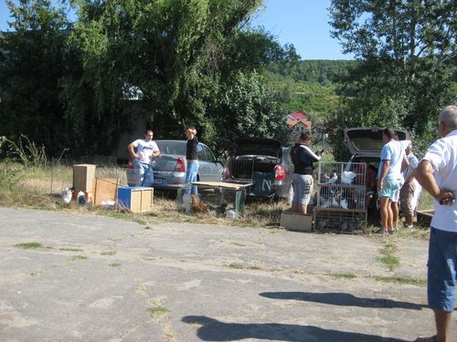 27.08.2011 - Targ Pitesti-Stefanesti