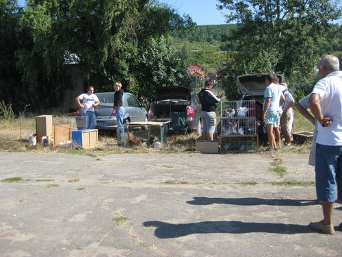 27.08.2011 - Targ Pitesti-Stefanesti