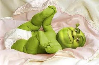 images (12) - shrek