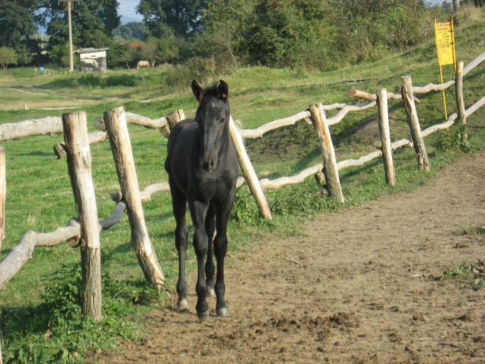 ARMASAR LIPITAN
