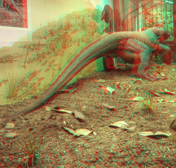 stereoscopic 3d dinozaur red cyan www.ochelaristu.com - 0 Imagini 3D