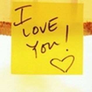 y love you - Love You