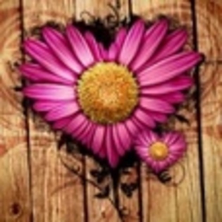 y love you