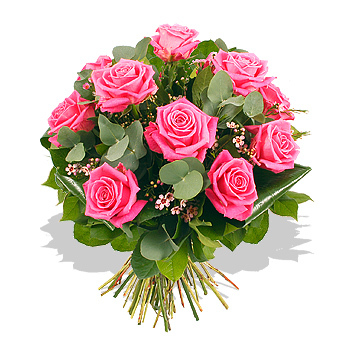 8294-a_dozen_pink_roses - O mica atentie pentru MYRE