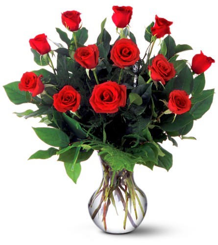 dozen-red-roses