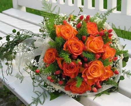 orange-roses - O mica atentie pentru MYRE