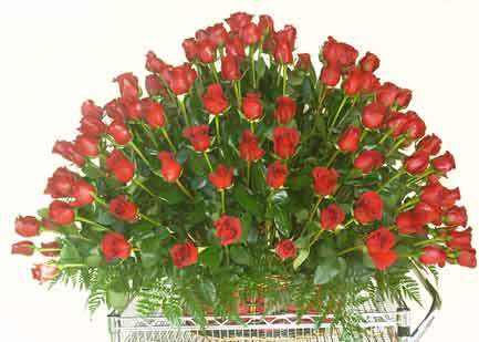 red_roses-644 - O mica atentie pentru MYRE