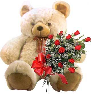 teddy-12roses - O mica atentie pentru MYRE