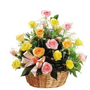 trandafiri-diversi-mixed-roses-8616-1 - O mica atentie pentru MYRE