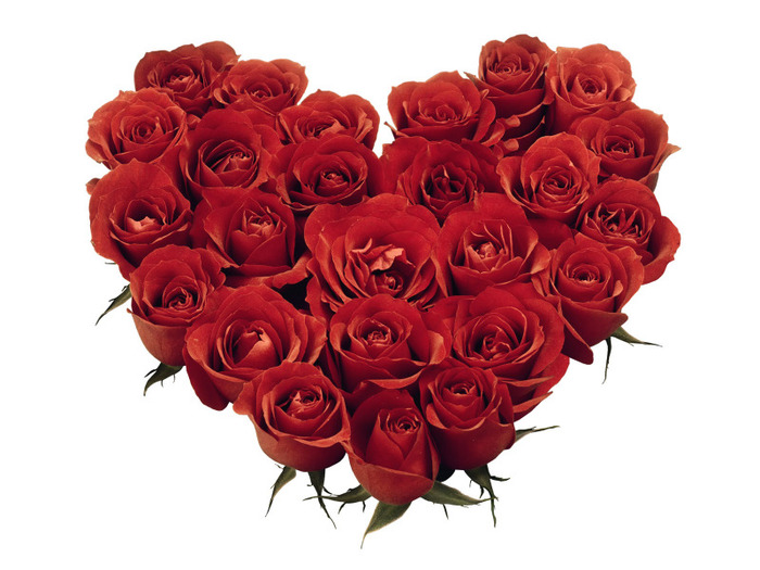 Valentines day roses - O mica atentie pentru MYRE