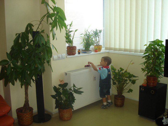 MEME,CE-AI TU PE AICI??