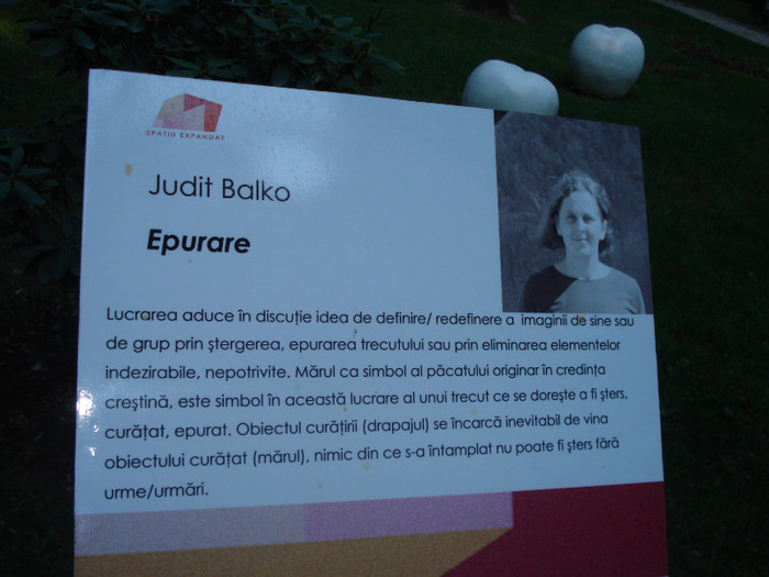 IDEEA DE DEFINIRE