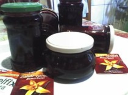 DULCEATA DIN FRUCTE DE SOC 2