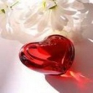 y love you