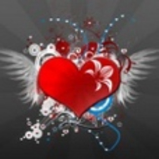 y love you - Love You