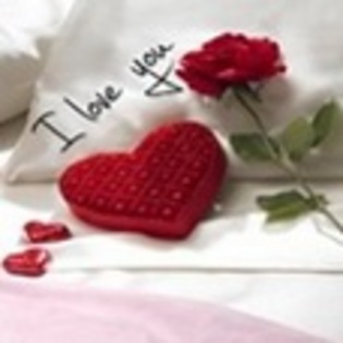 y love you
