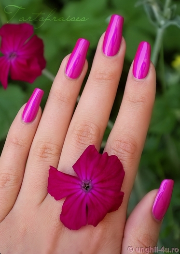 Unghii poza 24