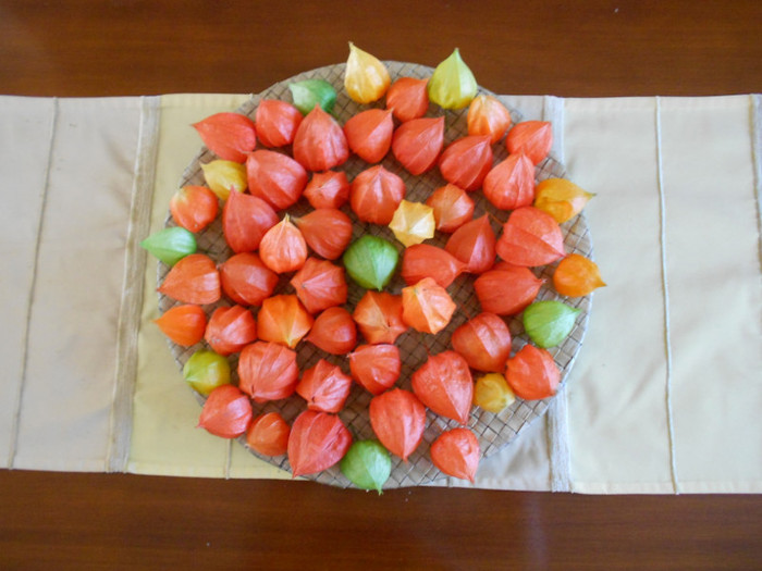 compozitie de toamnà