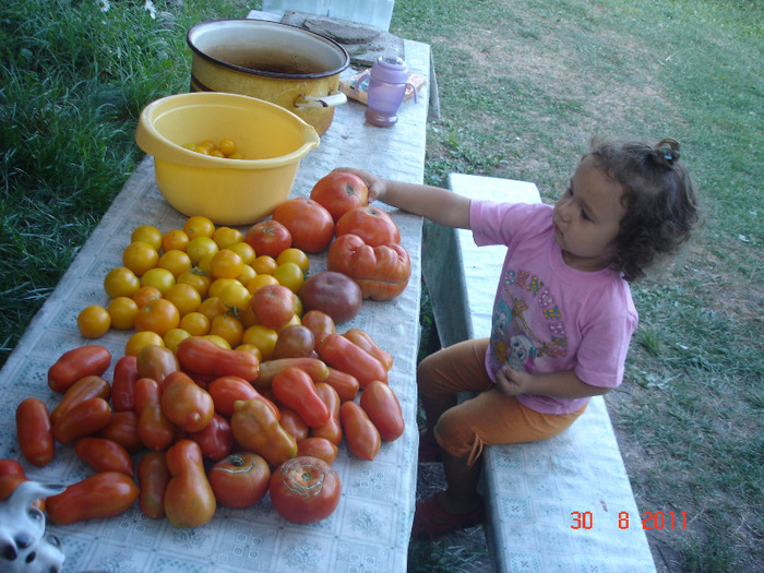 DSC03463 - Legume