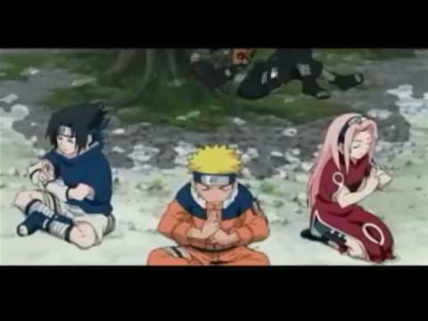 0 - echipa 7