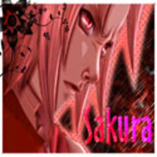Sakura_Avatar_by_GlowsticksANDCoffee