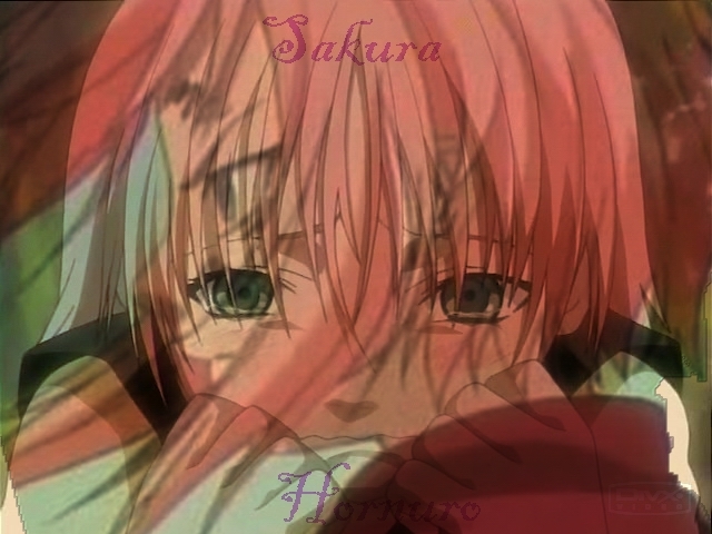 Sakura_Past_and_Present2_FC_by_silverskywolf227