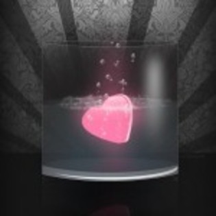 y love you - Love You