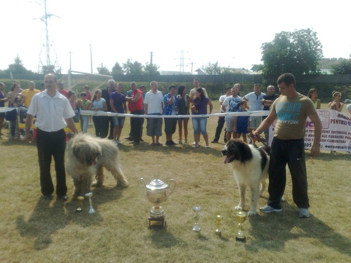concurs filipesti - Expozitie Filipesti