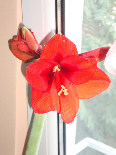 AM INLFORIT,,18,09.2011