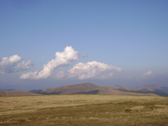 DSC08016 - Transalpina Ranca