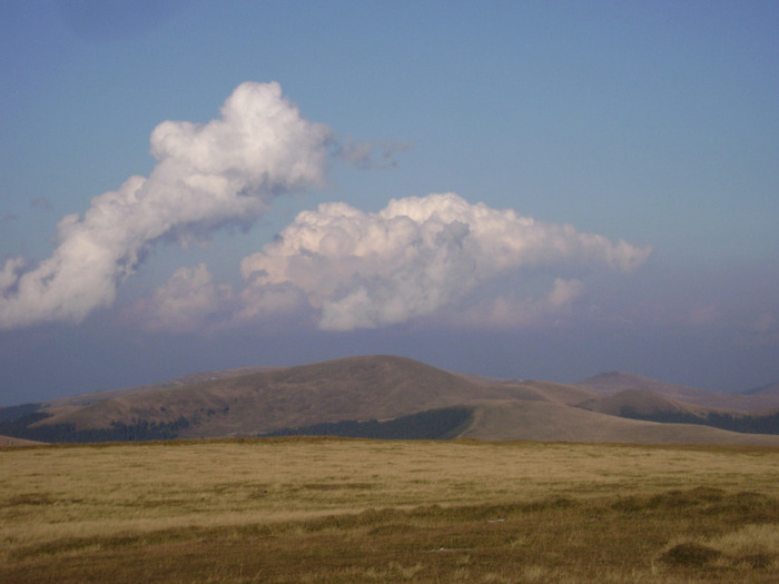 DSC08017 - Transalpina Ranca