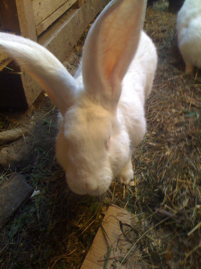 Picture 130