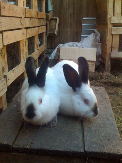 Picture 152