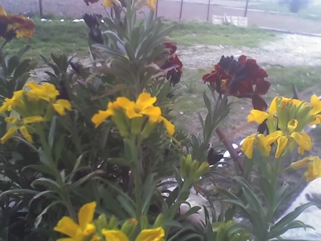 20-04-11_1812