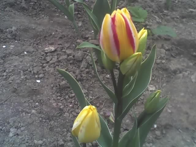 29-04-11_1947