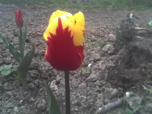 29-04-11_1952