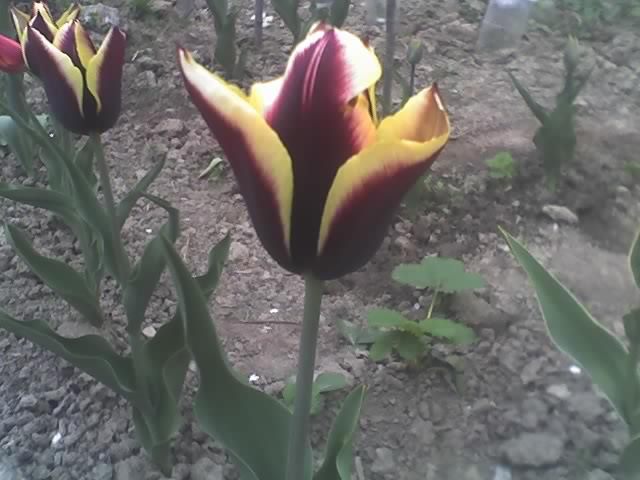 29-04-11_1958