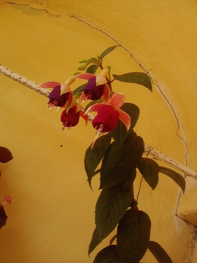 P040711_12.54_[02]