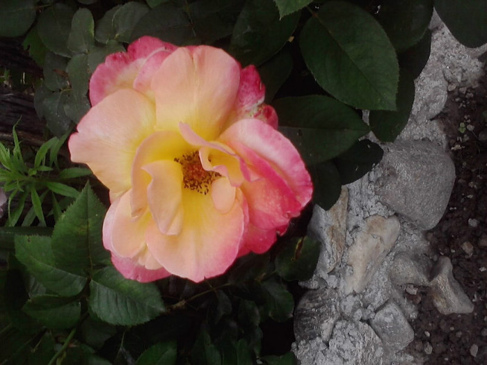 P040711_12.55_[03]