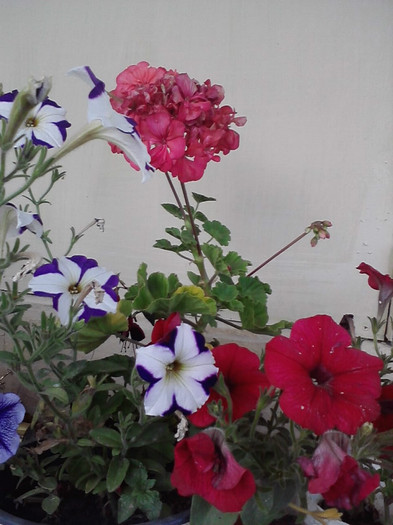 P090911_18.30_[04]