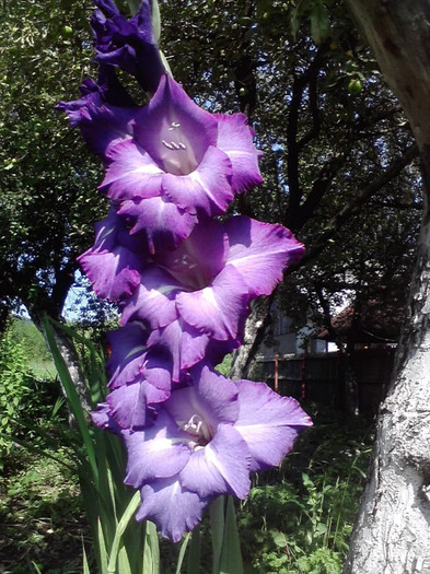P180711_10.15_[01]