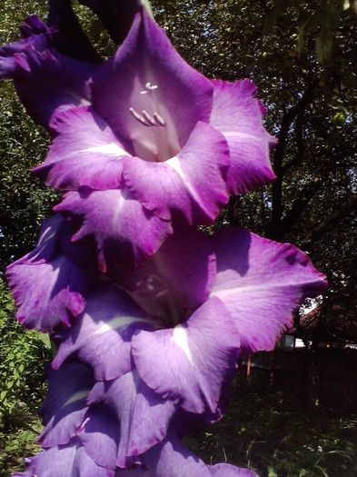 P180711_10.15_[03]