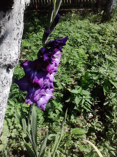 P180711_10.17_[01]