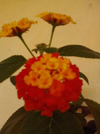 P180711_10.50