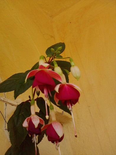 P180711_10.52_[03]