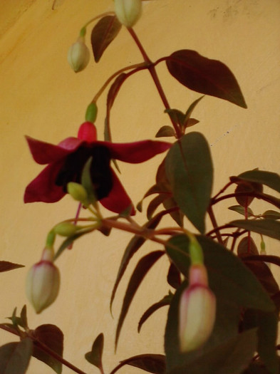 P180711_10.52_[04]